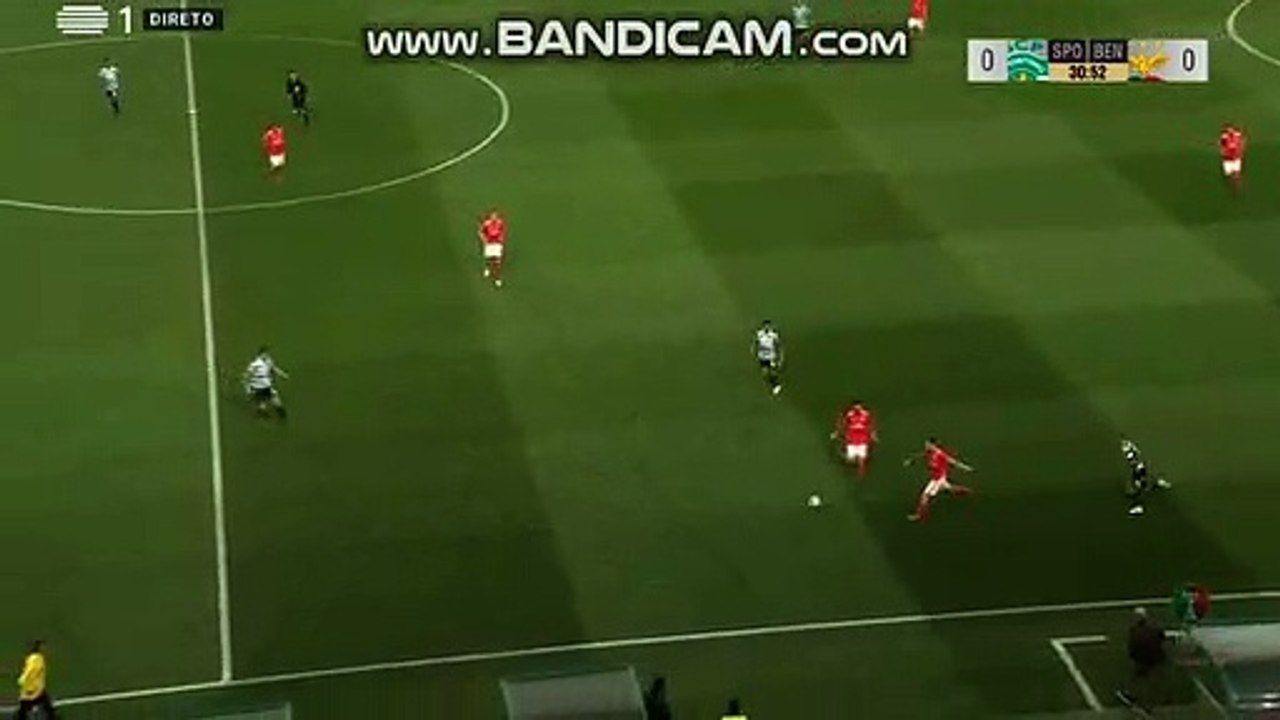 video-1554323288