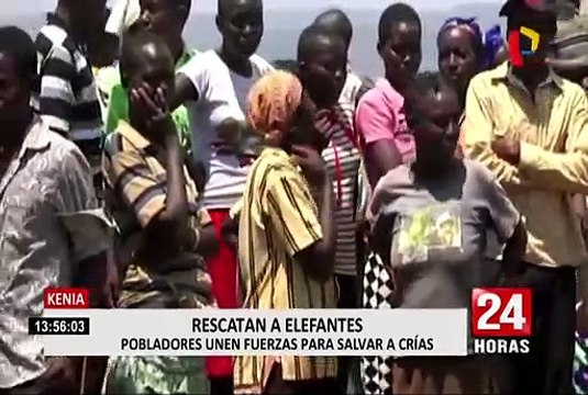Kenia: pobladores rescatan a elefantes bebés atrapados en laguna