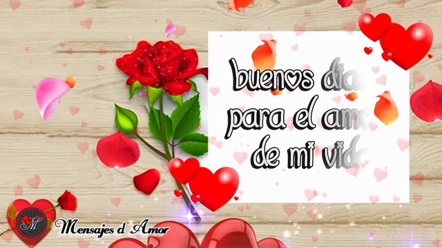 HOLA MI AMOR BUENOS DIAS ❤️TE DEDICO ESTE VIDEO DE AMOR PORQUE TE AMO