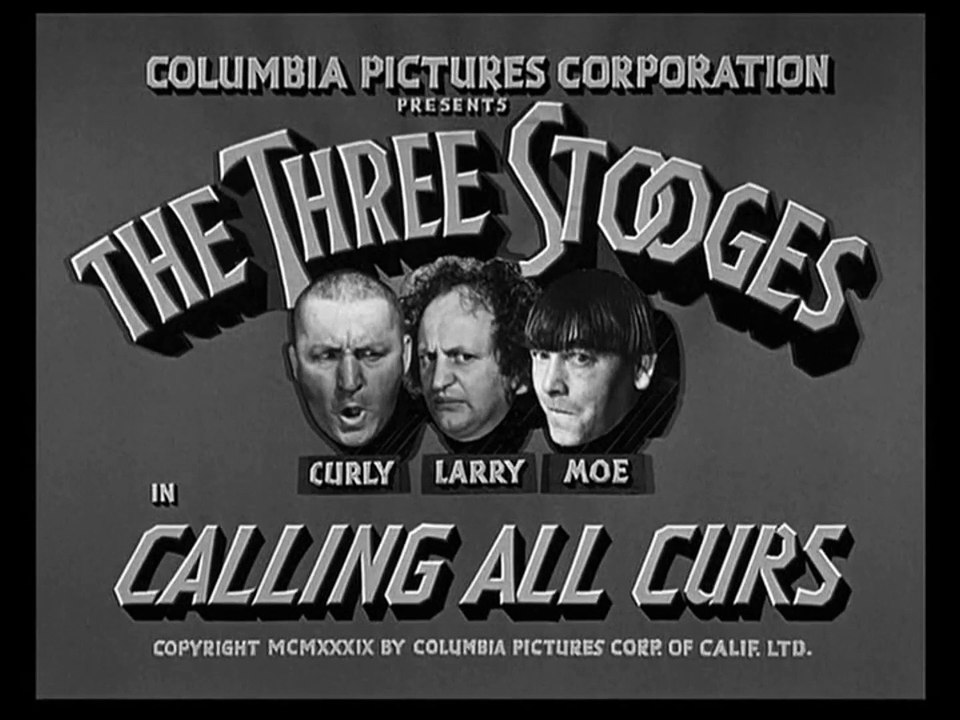 The Three Stooges deutsch: 041 - Calling All Curs (1939)
