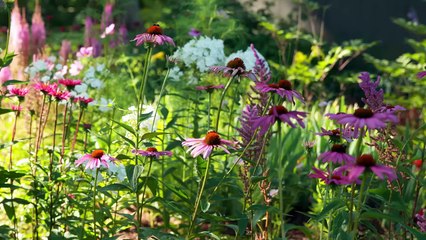 The Artist's Garden: American Impressionism | TRAILER