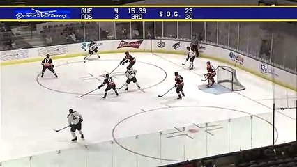 ECHL Greenville Swamp Rabbits 4 at Norfolk Admirals 4