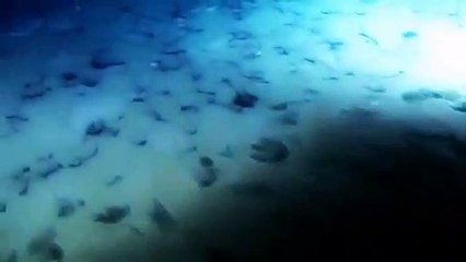 【더킹카지노주소】 바카라하는방법【♬『『H H T 7 9 7、CㅇM』』♬】【슬롯머신게임어플】더킹카지노주소 ♬『『H H T 7 9 7、CㅇM』』♬ 실시간카지노카지노