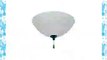 Emerson Ceiling Fans LK91ORB Ashton White Mist Light Fixture for Ceiling Fans Candelabra