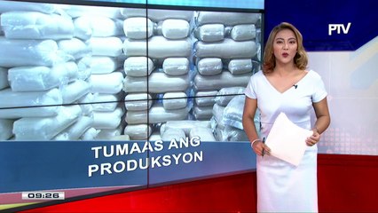 Produksyon ng asukal, tumaas