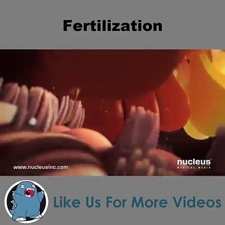 A must watch for couple's expecting babies