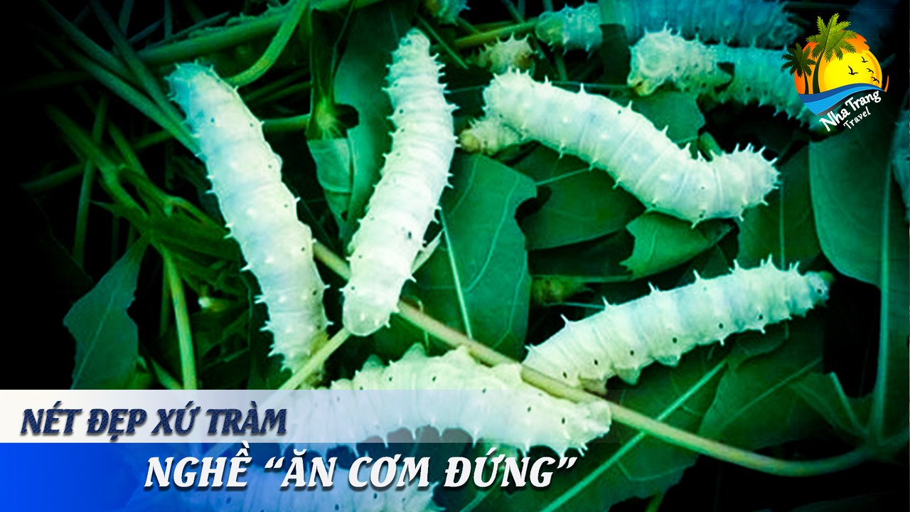 [NÉT ĐẸP XỨ TRẦM] KHÓ NHỌC VỚI NGHỀ "ĂN CƠM ĐỨNG" | NHA TRANG TRAVEL