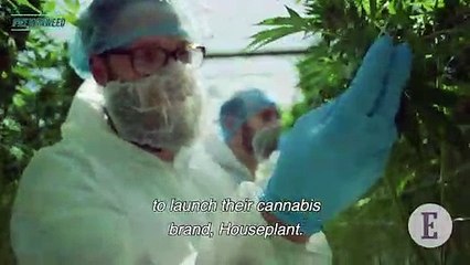 This Week in Weed: Seth Rogen Starts a Weed Company!