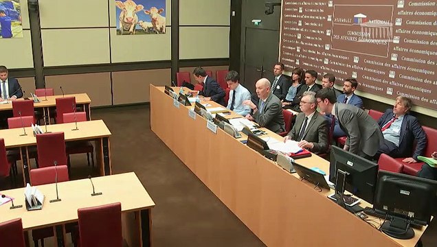 Commission des affaires économiques : M. Julien Denormandie, ministre auprès de la ministre de la cohésion des territoires et des relations avec les collectivités territoriales, sur le bilan de la mise en oeuvre du New Deal mobile - Mercredi 3 avril 2019