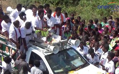 அதிமுக வேட்பாளர் ரவீந்திரநாத் குமார் சோழவந்தான் விராலிப்பட்டி கிராமத்தில் வாக்கு சேகரிப்பு- வீடியோ