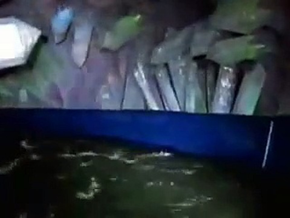 슈퍼카지노쿠폰 https://www.css900.com『＾카지노사이트＾』