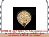 Worldwide Lighting Empire Collection 10 Light Gold Finish and Clear Crystal Flush Mount