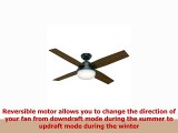 Hunter Fan Company 59251 Hunter 52 Dempsey Damp Matte Black Ceiling Fan with Light and