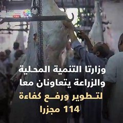 شاهد فى دقيقة.. خطة لتطوير وإنشاء 124 مجزرًا فى المحافظات بتكلفة 2 مليار جنيه