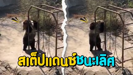 สุดฮา ลีลาหมี ถ้าจะสะบัดขนาดนี้ มาแดนซ์กันไหม