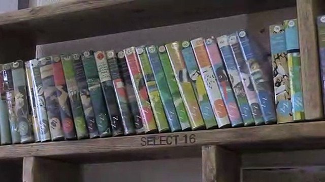 Help North Wales Wildlife Trust's Mission!