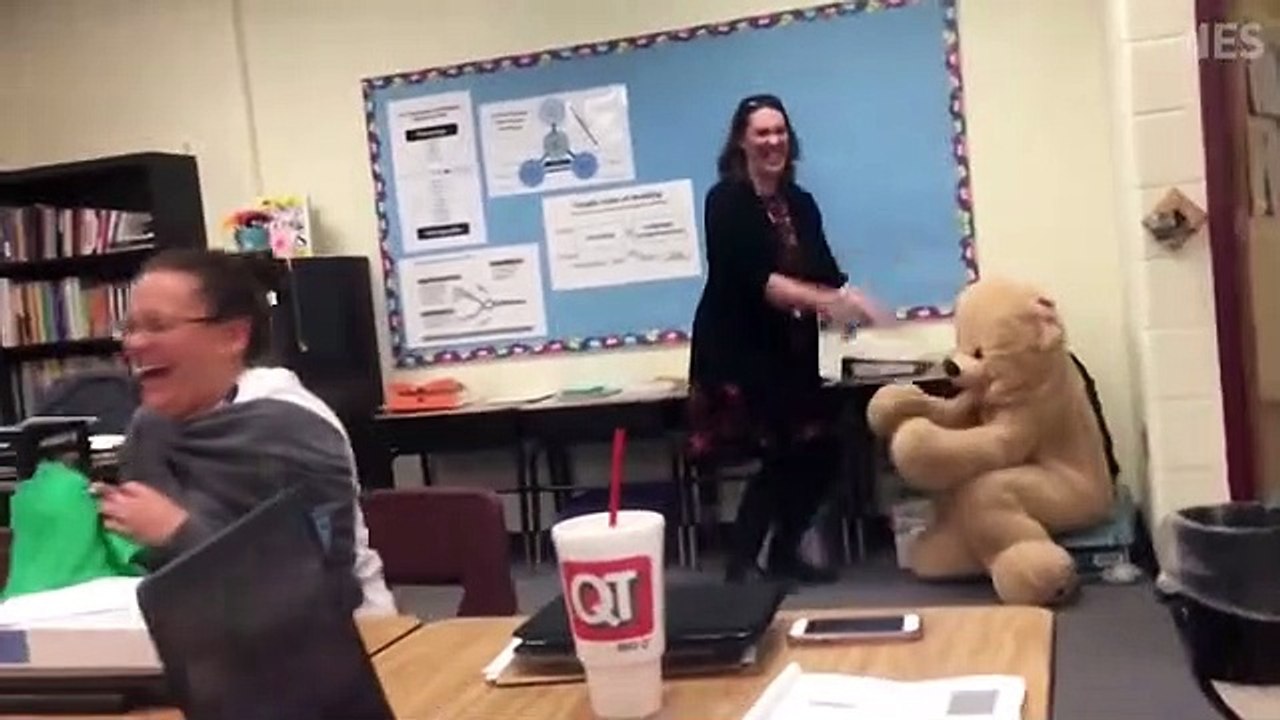Funny HD Videos Try Not to Laugh Best Funny 2019 to Pull on Friends