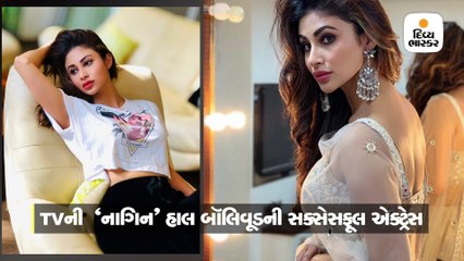 TVની 'નાગિન' બે દિવસથી હૉસ્પિટલમાં દાખલ, 'ગોલ્ડ' એક્ટ્રેસે ઈન્સ્ટાગ્રામ પર આપી ખબર