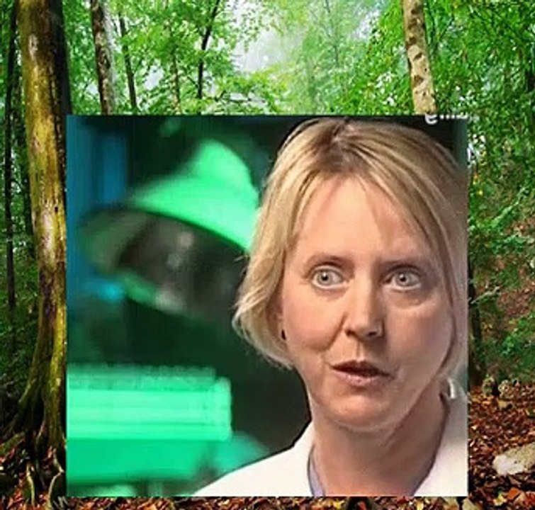 Forensic Files - 10x23 - Prints Among Theives