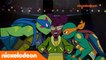Le destin des Tortues Ninja | Gare au Gumbus | Nickelodeon France