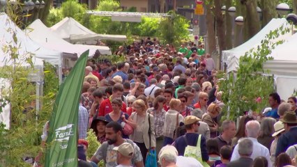 Inspirations végétales à Montrouge