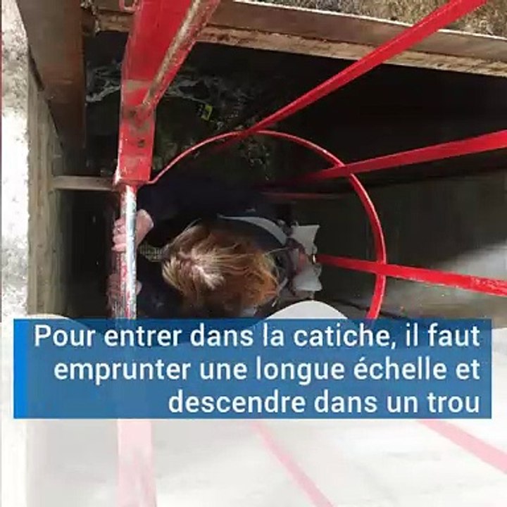 Les_secrets des catiches