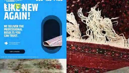 North Miami Beach Carpet Cleaning