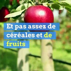Trop de sel, sucre ou viande : 20% des morts sont dues à une mauvaise alimentation