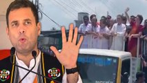 Rahul Gandh: வயநாட்டில் அவர்களுக்கு எதிராக நான் பேச மாட்டேன் - ராகுல் உறுதி- வீடியோ