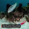 World Bank to aid Philippines in fight against plastic