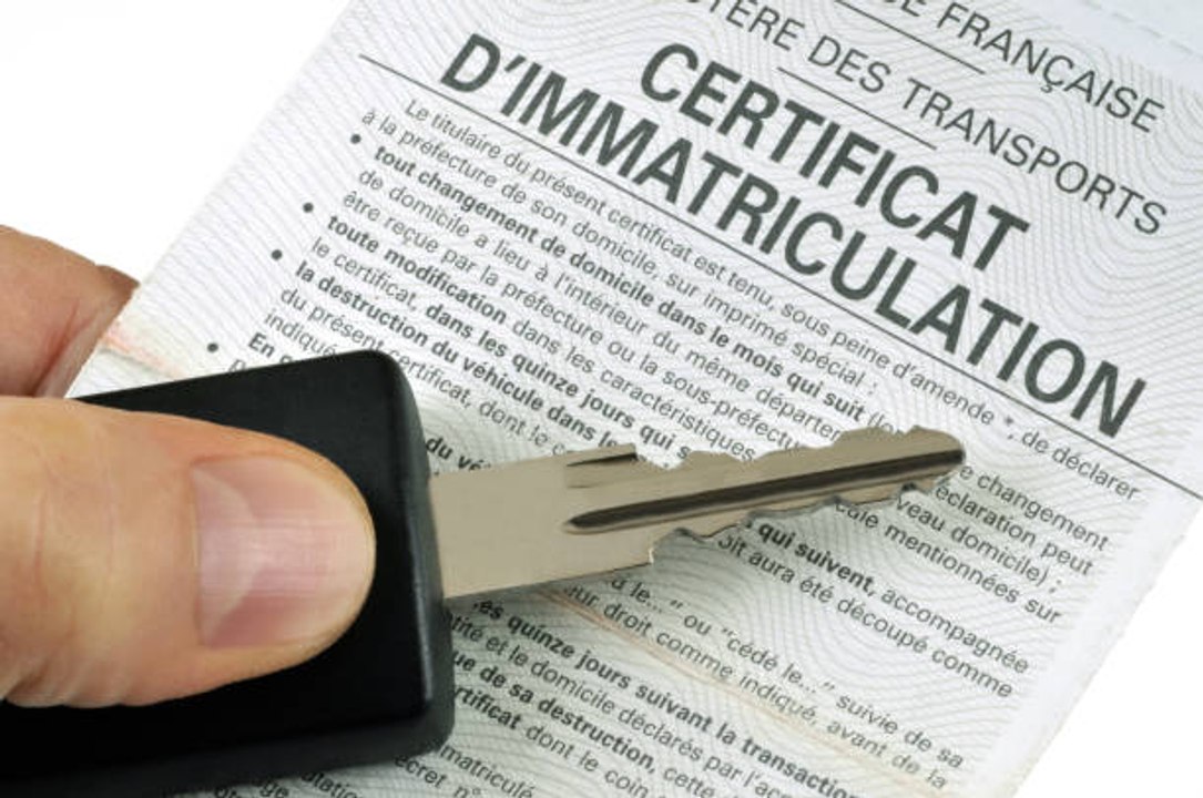 La carte grise : comment se la procurer ?