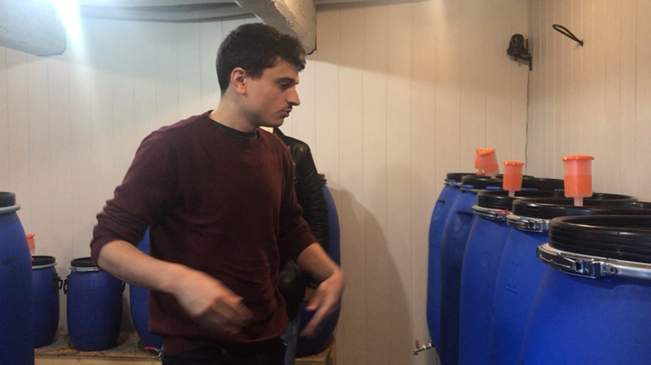 Du vin de kiwi en Normandie