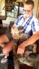 Cuddling with a Happy Hyena