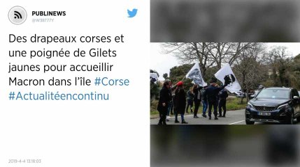 Des drapeaux corses et une poignée de Gilets jaunes pour accueillir Macron dans l’île