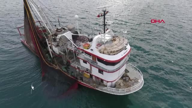 Sinop Mezgitin Kilosu 40 Liraya Çıktı