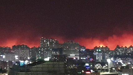[고성 산불] 제보자 "속초 시내까지 휘둘러서 산불이 오고 있다" / YTN