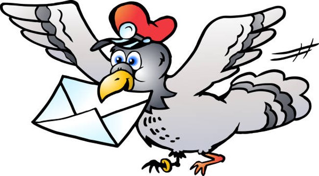 La vente aux enchères d'un pigeon voyageur pour 1,25 million d’euros