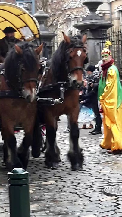 03-03-2019 : Carnaval de Marche-en-Famenne