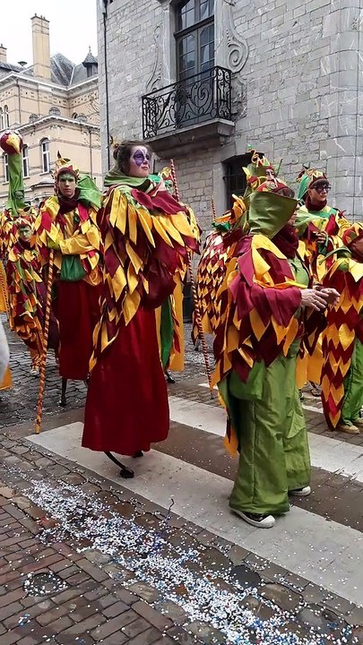 03-03-2019 : Carnaval de Marche-en-Famenne