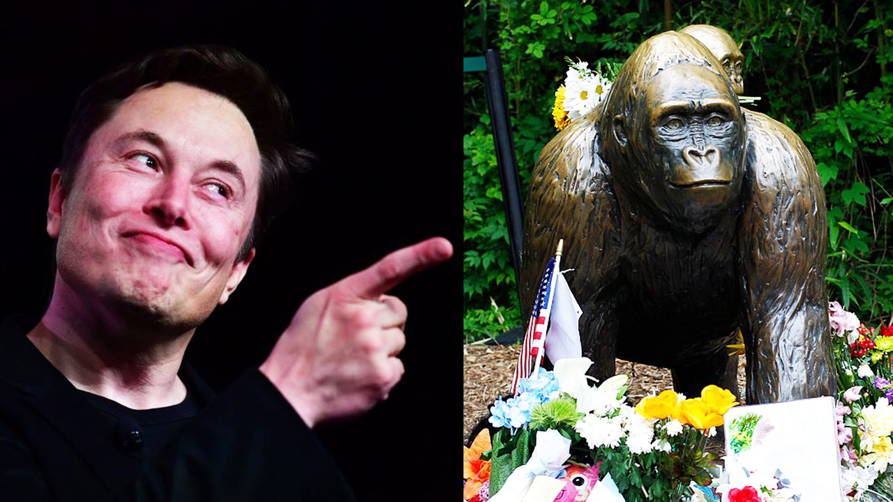 Elon Musk drops rap song “RIP Harambe”