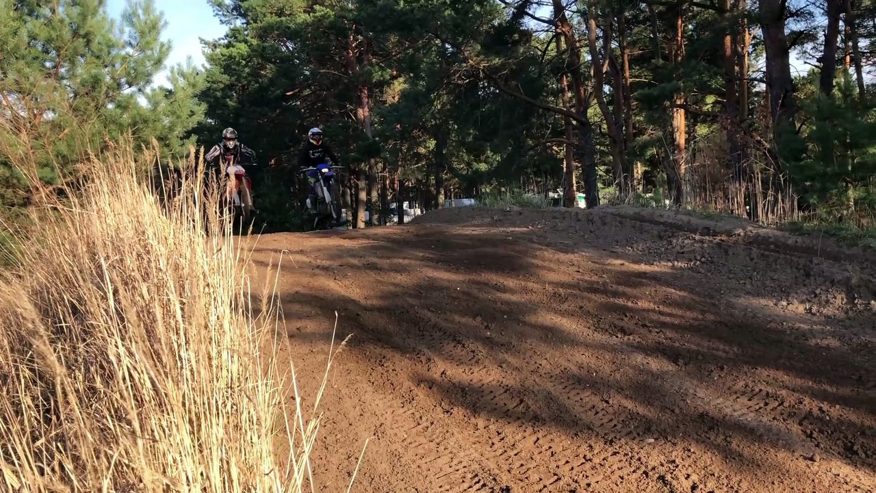 Blaue Seuche in Jänschwalde 2019 Kiesgruben Junkies