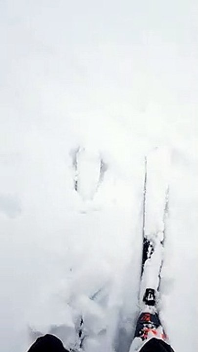 VID-20190404-WA0031