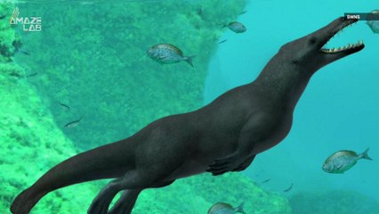 This Apparent Whale Ancestor Had Legs