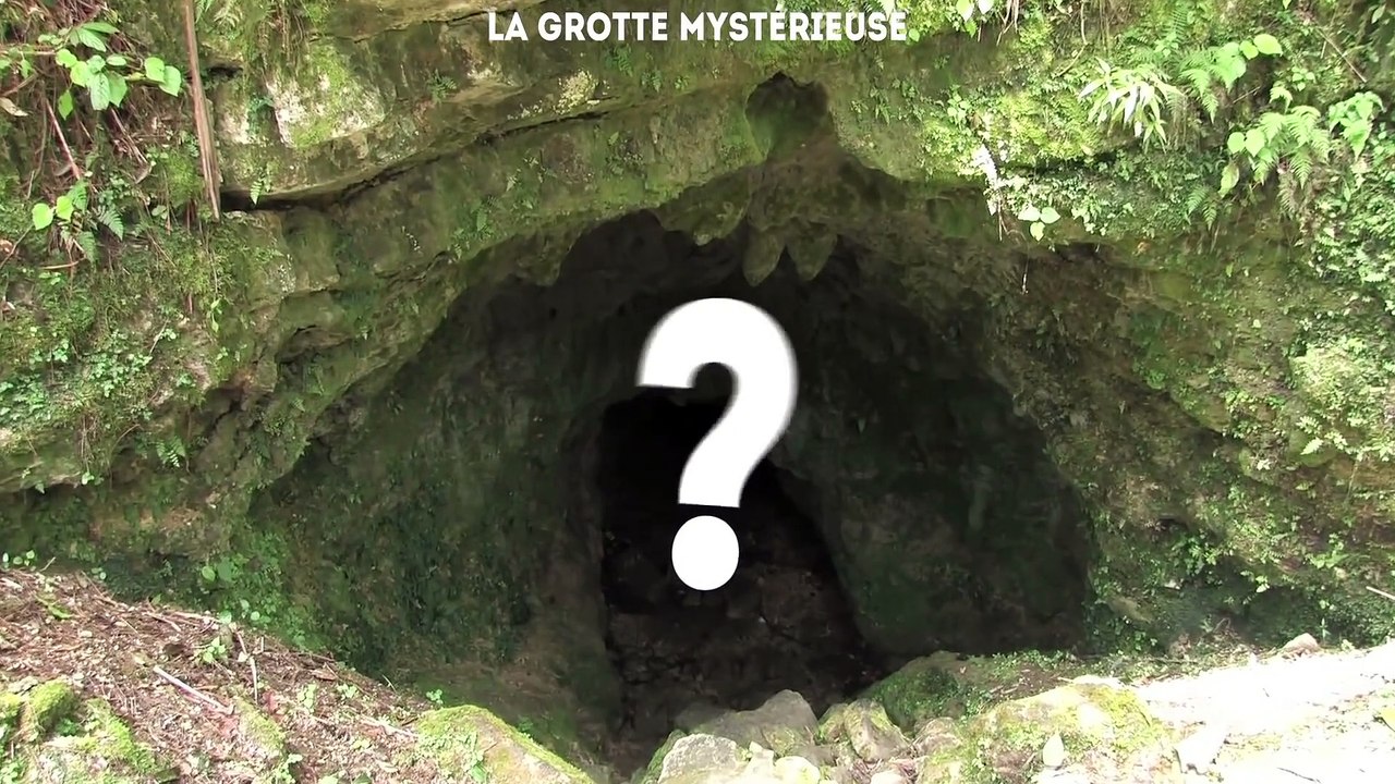 Comment ferais-tu pour survivre ? LE TEST LE PLUS DIFFICILE DU MONDE