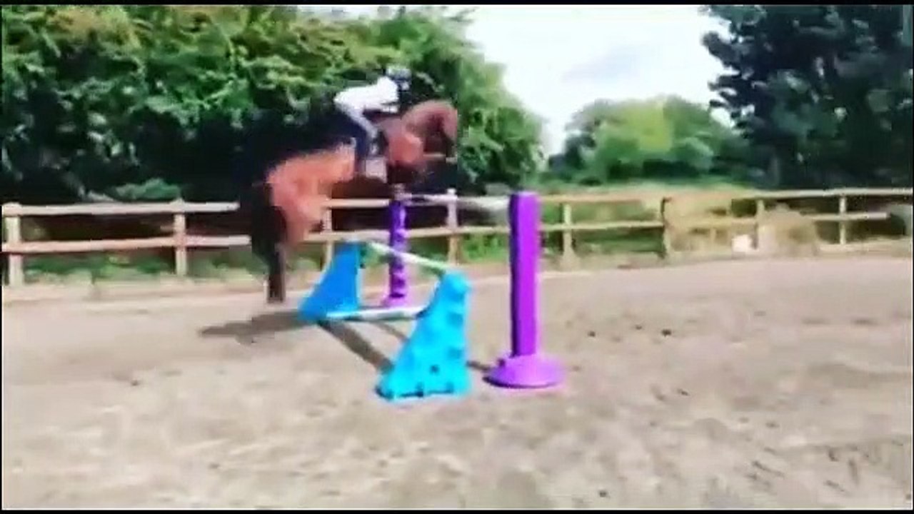 Horse FAILS  FALLS 2019