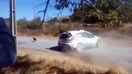 Un pilote de rally fait un dérapage pour éviter un chien !