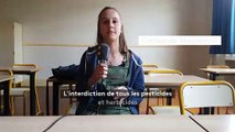 Elections européennes - Des lycéens prennent la parole
