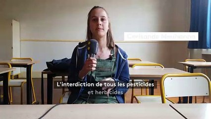 Elections européennes - Des lycéens prennent la parole