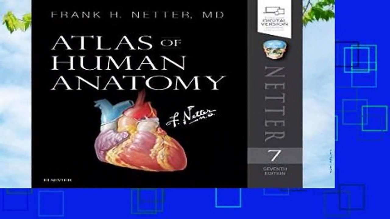 Full version  Atlas of Human Anatomy, 7e (Netter Basic Science)  Review