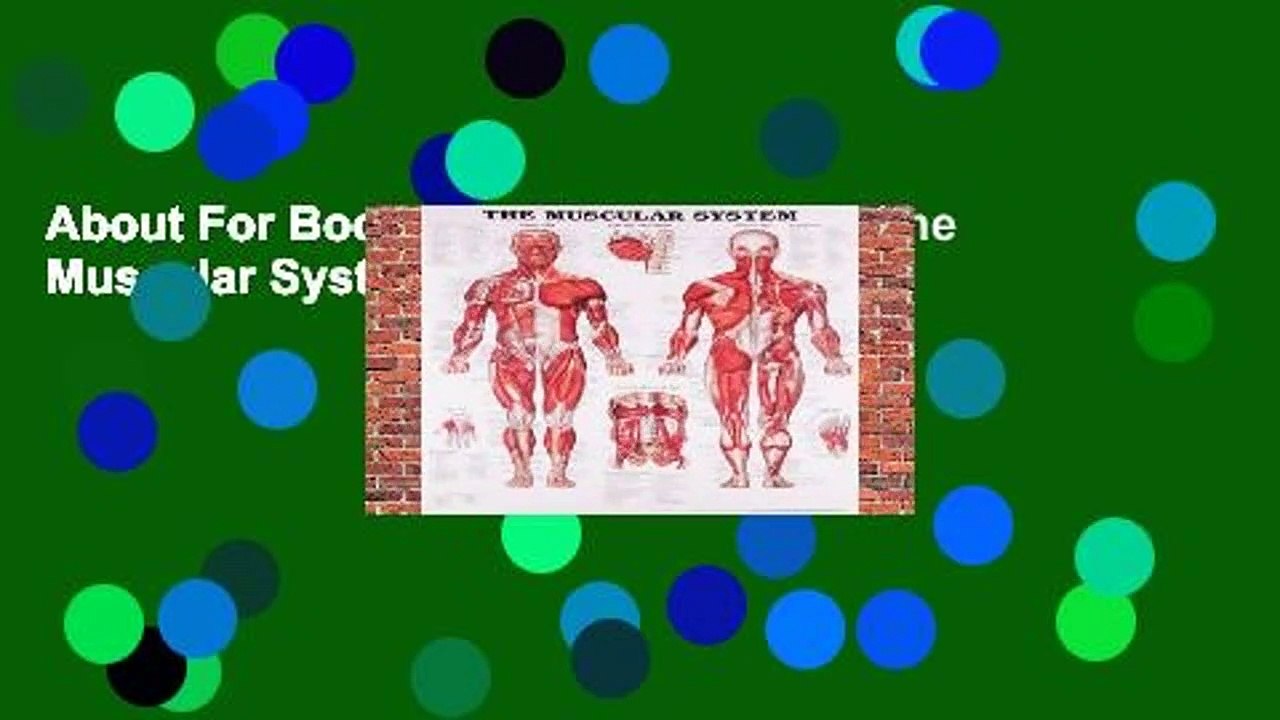 About For Books  Anatomical Chart The Muscular System  For Kindle